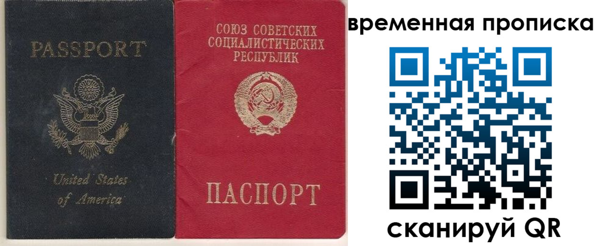 прописка для школы в Советске